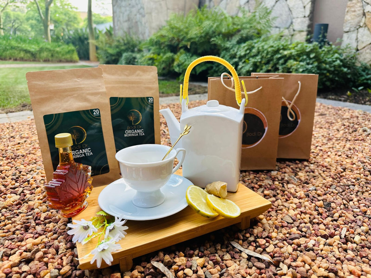 Moringa Organic Tea – Refreshing & Nutrient-Rich Herbal Infusion